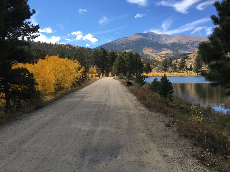 dirtroad dirtroad
